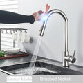 Kitchen Sink Faucet With Touch Sensor, Pull Down Sprayer, Single Handle