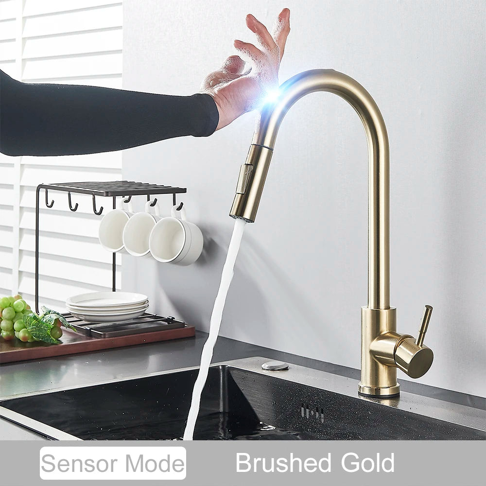 Kitchen Sink Faucet With Touch Sensor, Pull Down Sprayer, Single Handle