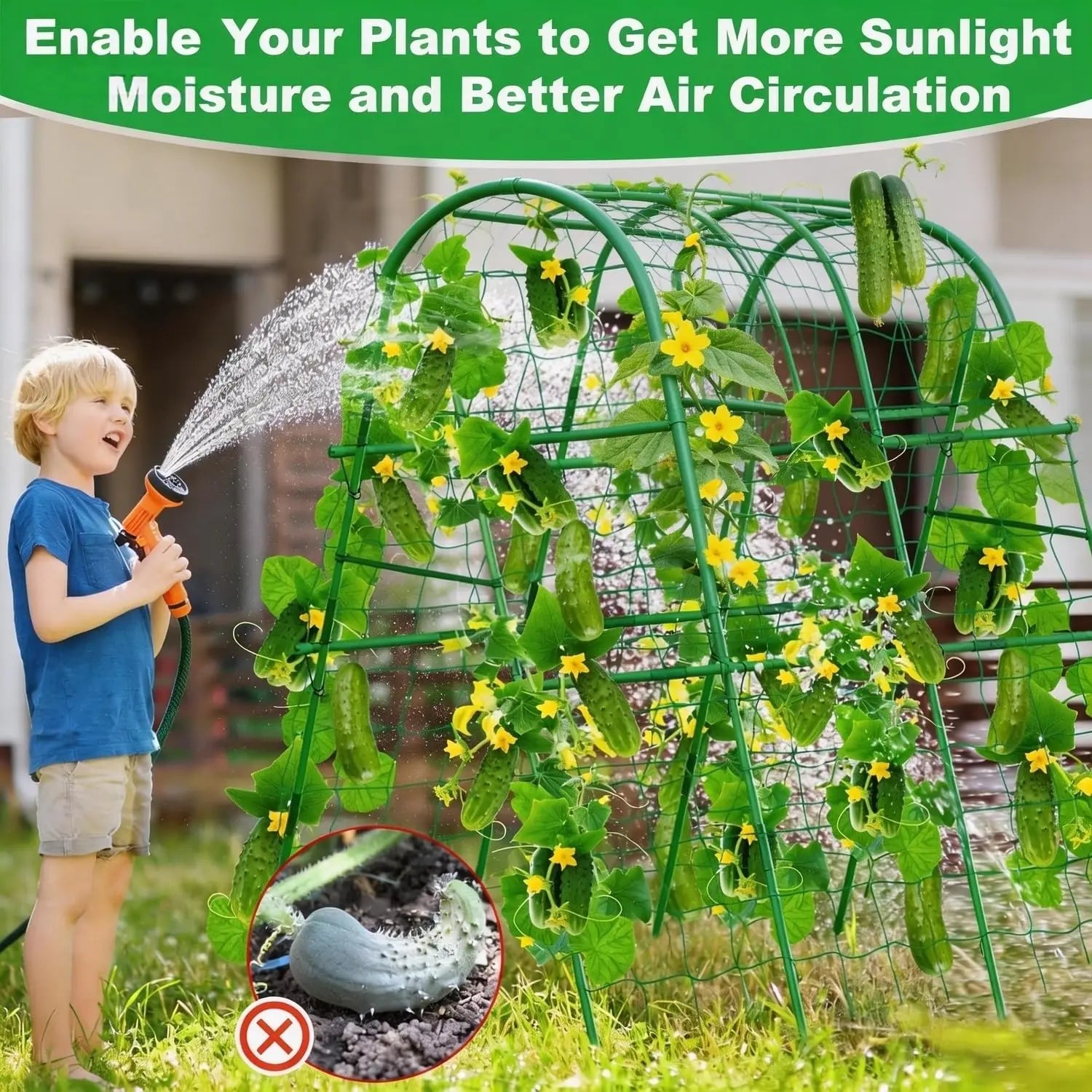 Garden Arch Trellis for Raised Beds, Plant Support for Cucumbers, Melons, Grapes, Roses & Climbing Vegetables