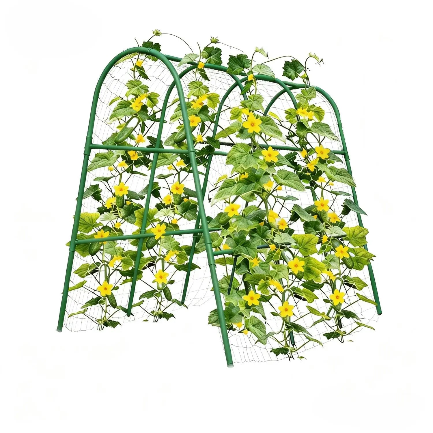 Garden Arch Trellis for Raised Beds, Plant Support for Cucumbers, Melons, Grapes, Roses & Climbing Vegetables