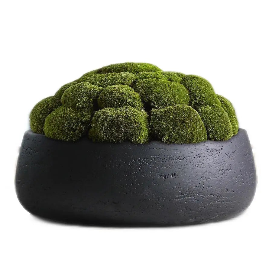 Large Ceramic Planter Bowl, Shallow Plant Pot, Matt Black Flowerpot, Indoor and Outdoor Garden Decor