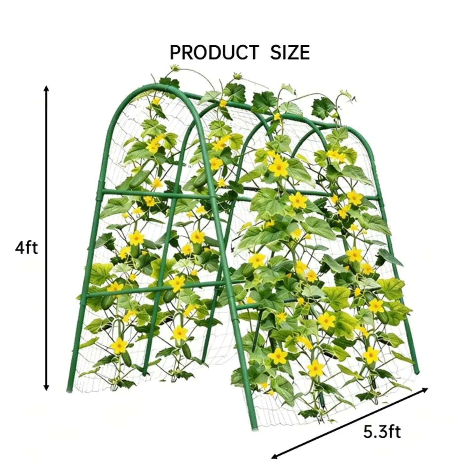 Garden Arch Trellis for Raised Beds, Plant Support for Cucumbers, Melons, Grapes, Roses & Climbing Vegetables