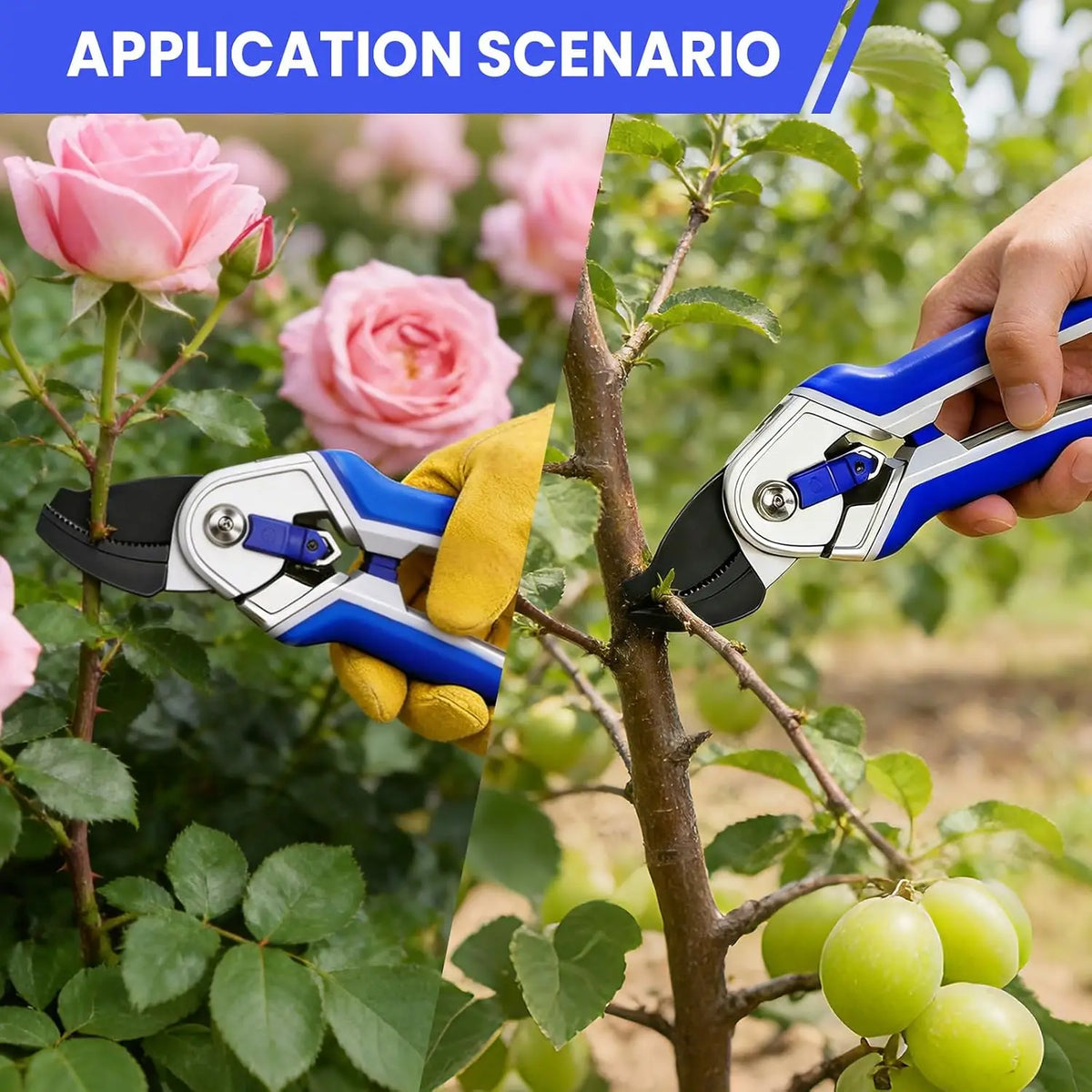 Tacleekii 2-Pack 8" Bypass Pruning Shears with Dual-Color Comfort Grip Garden Scissors for Trimming Flowers Plants & Limbs