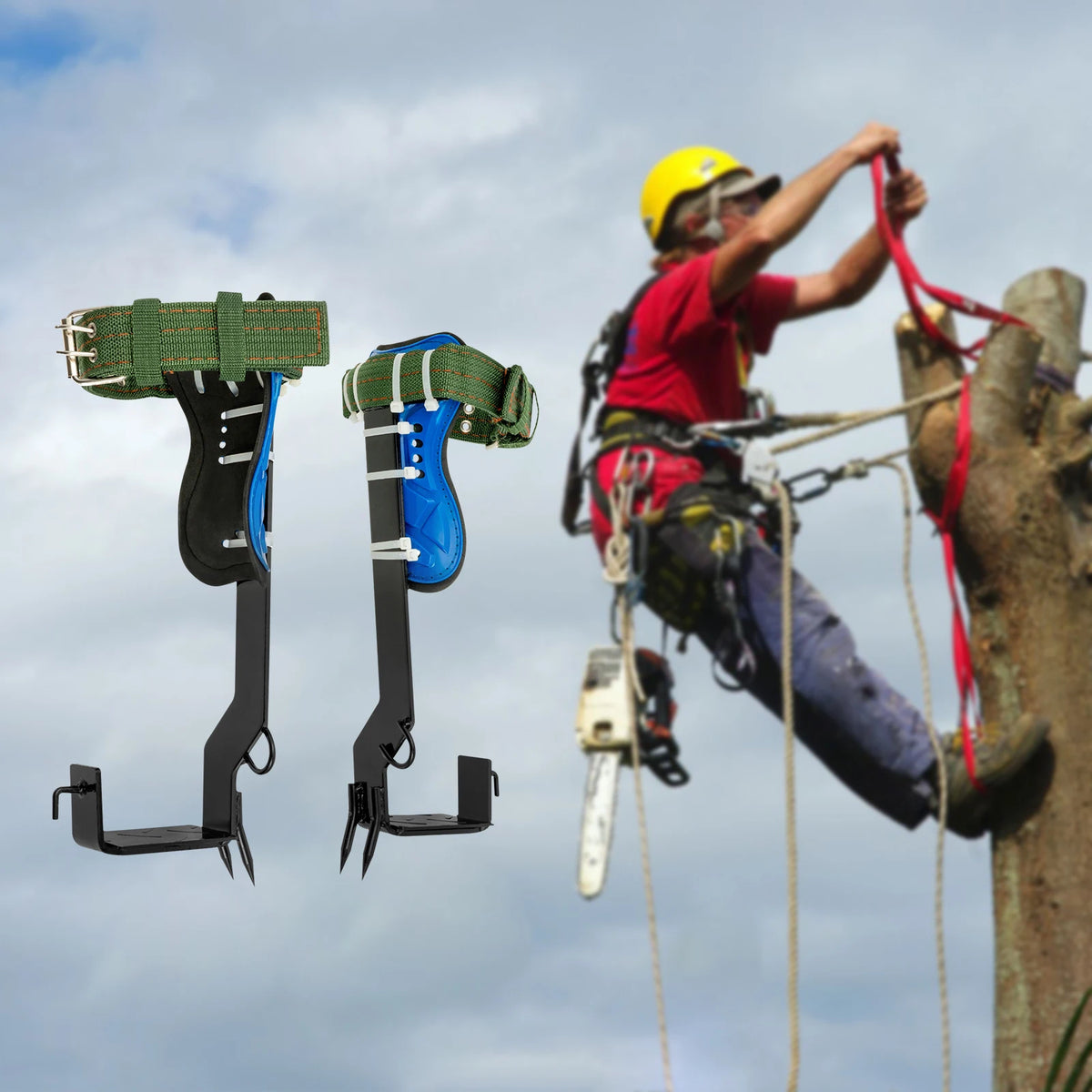 Tree Climbing Spikes Set, 2-Tooth Pole Climbing Gaffs with Safety Belt & Rope, 220lbs Capacity for Arborist Hunting