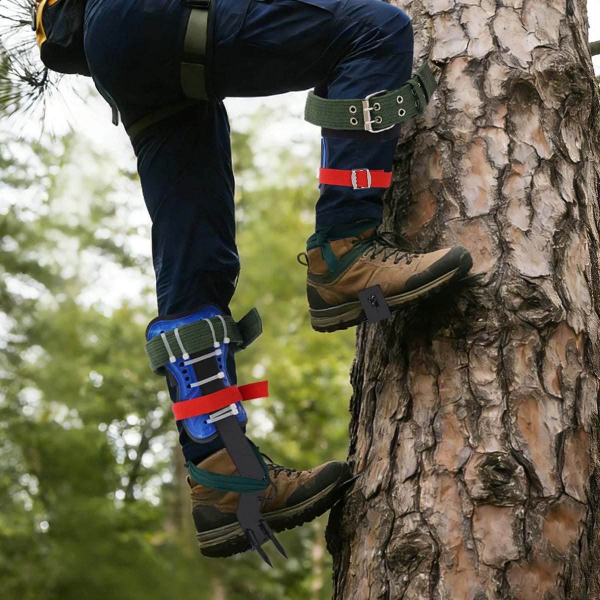 Climbing Spike Set, Tree Climbing Tools with 2 Teeth Anti-Slip Foot Spikes, Adjustable Safety Belt, Rope, Heavy Duty Stainless Steel Spikes, Secure Straps, Arborist Outdoor Gear, For Pruning Hunting Picking