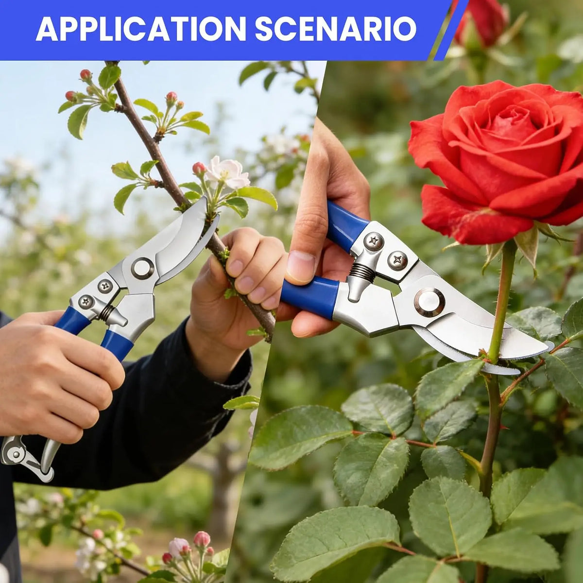 Tacleekii 2-Pack Stainless Steel Bypass Pruning Shears Ergonomic Garden Shears for Branch, Shrub, Vine & Indoor Plant Trimming, Flower Arranging – 8x20cm