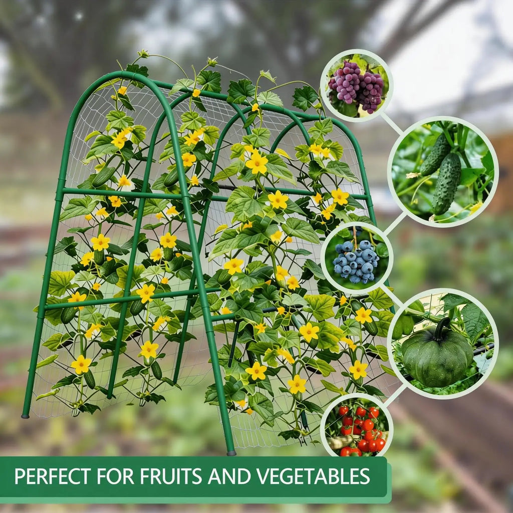 Garden Arch Trellis for Raised Beds, Plant Support for Cucumbers, Melons, Grapes, Roses & Climbing Vegetables