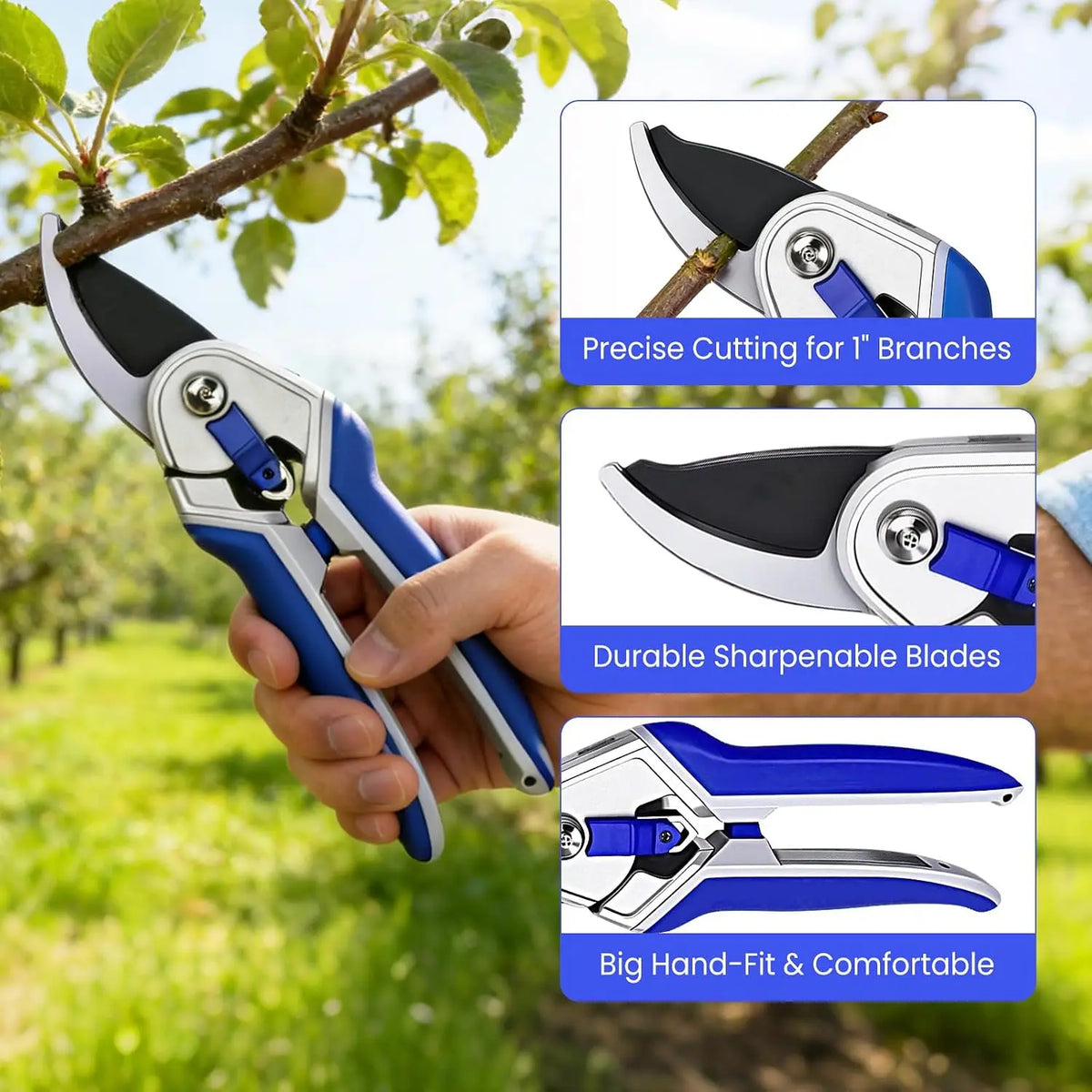 Tacleekii 2-Pack 8" Bypass Pruning Shears with Dual-Color Comfort Grip Garden Scissors for Trimming Flowers Plants & Limbs