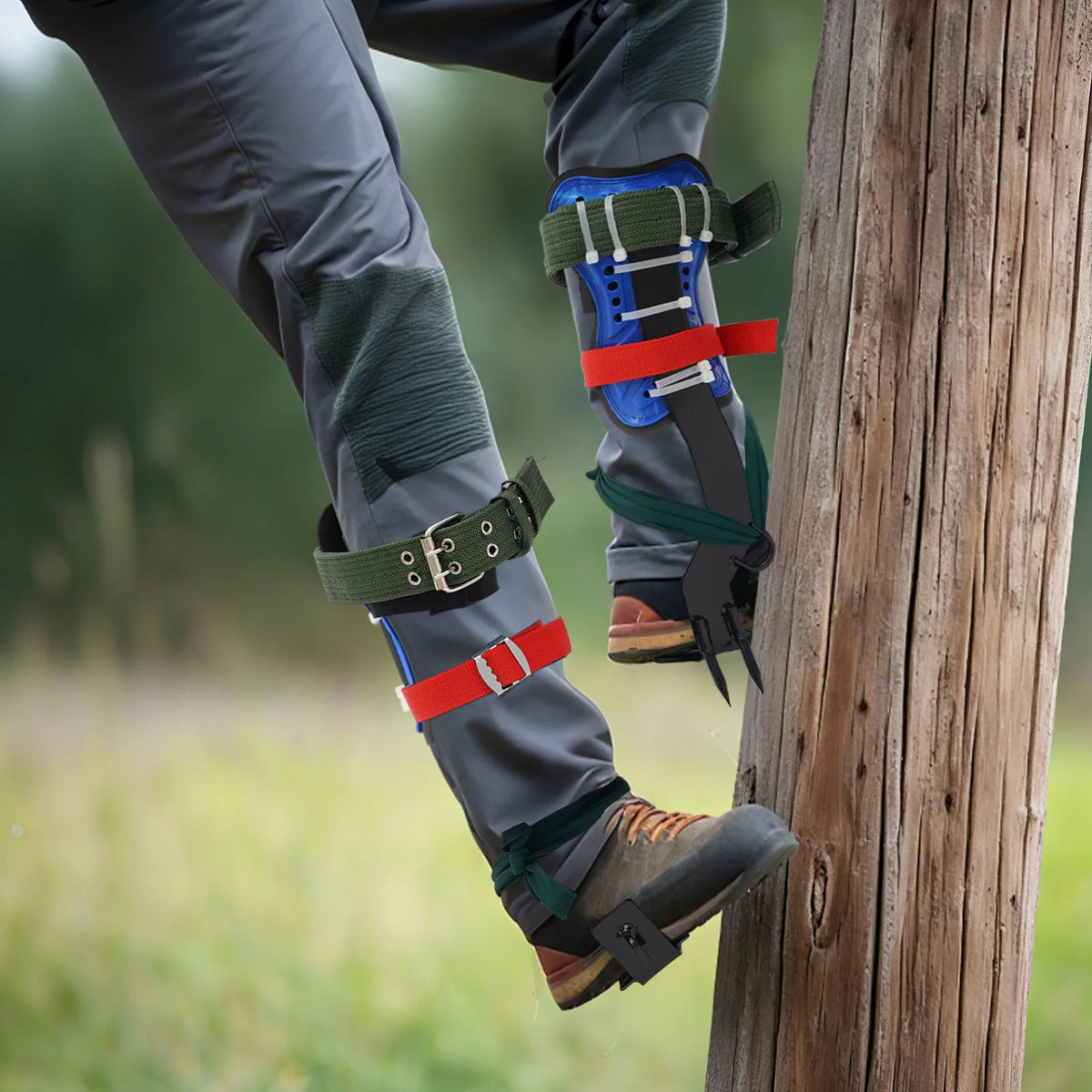 Climbing Spike Set, Tree Climbing Tools with 2 Teeth Anti-Slip Foot Spikes, Adjustable Safety Belt, Rope, Heavy Duty Stainless Steel Spikes, Secure Straps, Arborist Outdoor Gear, For Pruning Hunting Picking